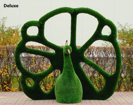 Топиари павлин Королевский - газон Deluxe оптом, фото 1