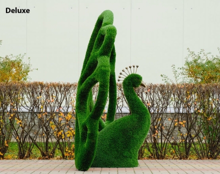 Топиари павлин Королевский - газон Deluxe оптом, фото 3