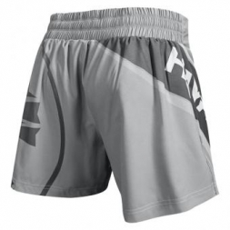 Шорты Hayabusa hayshorts091, фото 2