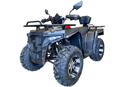 Квадроцикл IRIDE Wolf 300 оптом, фото 1