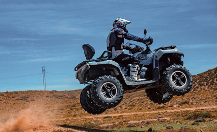 Квадроцикл LONCIN Xwolf 700 S (ПСМ) оптом, фото 7