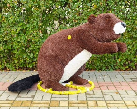 Топиари бобер Вин - газон Eco оптом, фото 1