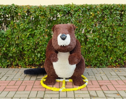 Топиари бобер Вин - газон Eco оптом, фото 2