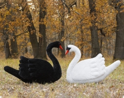 Топиари композиция лебеди Мони и Блэк - газон Eco, фото 1