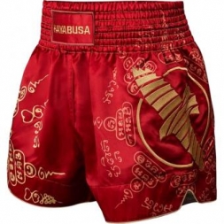 Шорты Hayabusa haytshorts015, фото 1