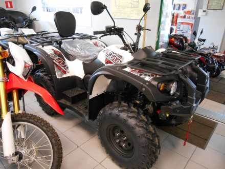 STRIKER 700 EFI оптом, фото 8