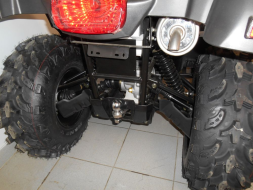 STRIKER 700 EFI, фото 2