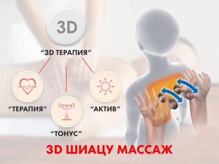 Массажное кресло FUJIMO QI F633 Business Edition Графит оптом, фото 5