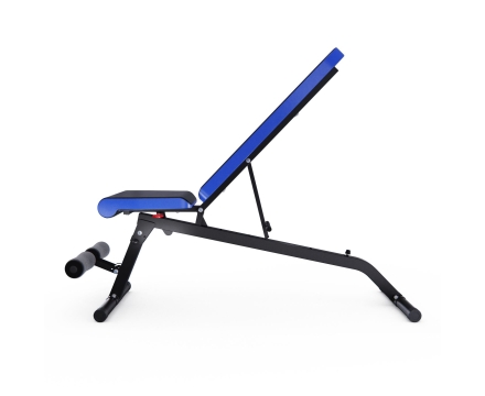 Скамья силовая универсальная DFC Pro Fitness D848 оптом, фото 7