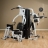 Многофункциональный тренажер Body-Solid EXM3000LPS оптом