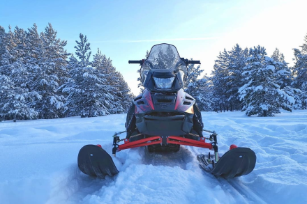 Снегоход IRBIS SF200L оптом, фото 9