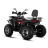 Бензиновый квадроцикл WHITE SIBERIA BARS 200CC PRO оптом