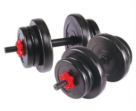 Гантель сборная Lite Weights 20 кг (10кг х 2шт) оптом, фото 1