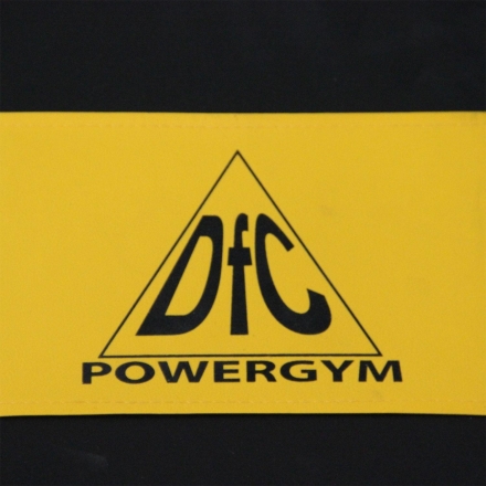 Скамья силовая DFC POWERGYM SUB064 оптом, фото 8