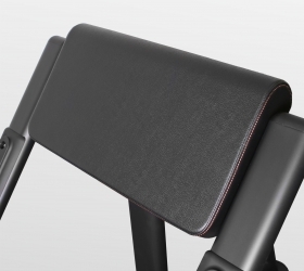 BRONZE GYM BR-1007 Скамья Скотта оптом, фото 5