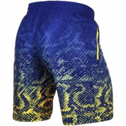 Шорты Venum venshorts0239, фото 2