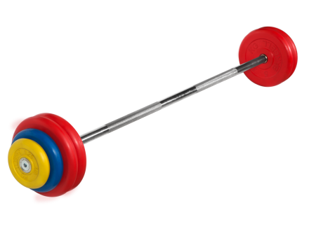 Штанга неразборная &quot;Barbell&quot; с цветными дисками d 25 мм, 32,5 кг оптом, фото 1