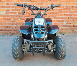 Квадроцикл MOWGLI S07B, фото 1 Квадроцикл MOWGLI S07B, фото 1