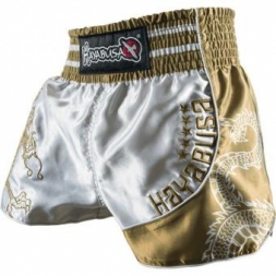 Шорты Hayabusa haytshorts05, фото 2