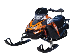 Снегоход ATAKI WD 250, фото 2