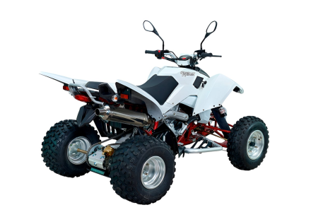 Квадроцикл SYM QuadRaider 450 оптом, фото 5