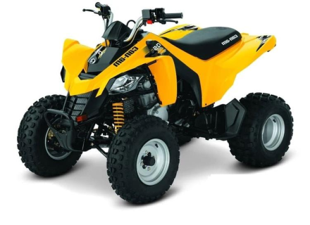 Квадроцикл BRP DS 250 оптом, фото 1