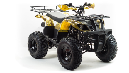 Квадроцикл MOTOLAND 150 Maverick оптом, фото 5