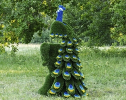 Топиари композиция Павлин на вазоне - газон Deluxe, фото 2