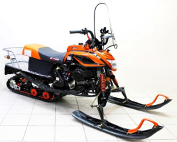 Снегоход IRBIS Dingo T200, фото 2