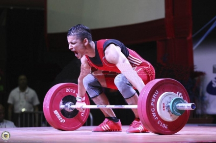 Штанга DHS Olympic 190 кг. для соревнований, аттестованная IWF оптом, фото 3