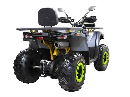 Квадроцикл MOTOLAND 200 Wild Track X Winch оптом, фото 2