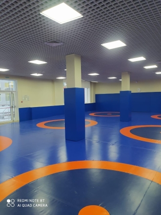Ковёр борцовский 8х8х0,05 м, эквивалентно пл.140 кг/м3 (НПЭ, трёхцветный) СТП-84 оптом, фото 2