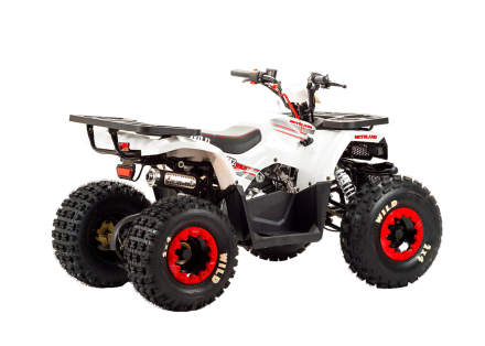 Квадроцикл MOTOLAND 125 Wild оптом, фото 4