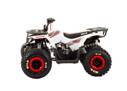 Квадроцикл MOTOLAND 125 Wild оптом, фото 2