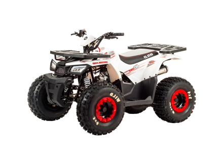 Квадроцикл MOTOLAND 125 Wild оптом, фото 1