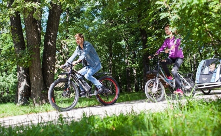 Велогибрид BENELLI FAT NERONE оптом, фото 8