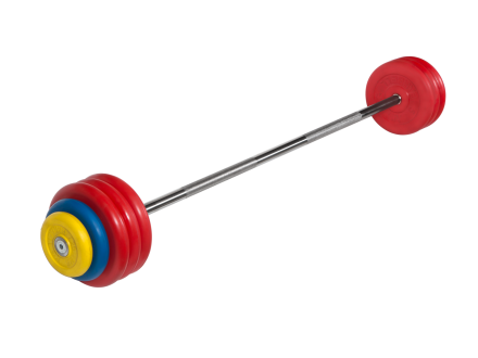 Штанга неразборная &quot;Barbell&quot; с цветными дисками d 25 мм, 42,5 кг оптом, фото 1