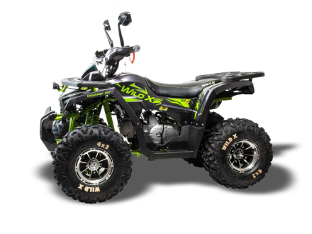 Квадроцикл MOTOLAND 125 Wild X Pro оптом, фото 4