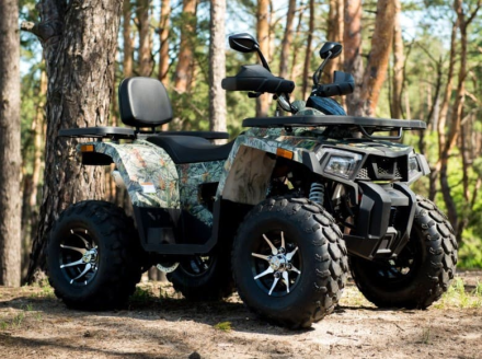 Квадроцикл YAMAHA Shark 300cc оптом, фото 3