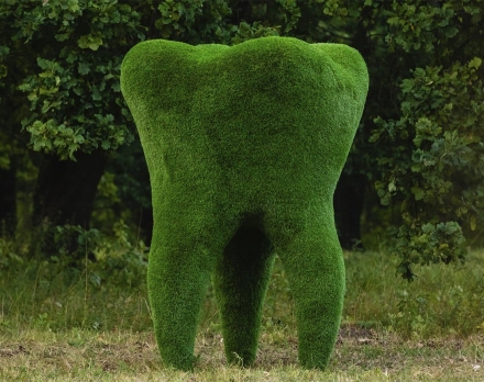 Топиари зуб - газон Eco оптом, фото 1