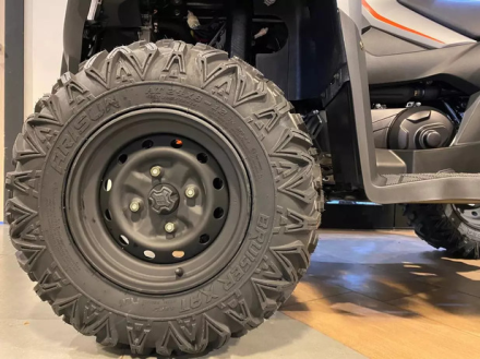 Квадроцикл LONCIN Xwolf 300 MAX оптом, фото 8