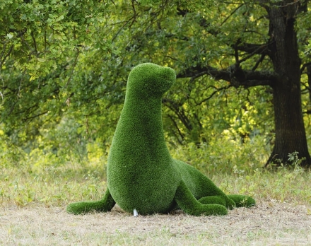 Топиари Тюлень с головой направо - газон Deluxe оптом, фото 1