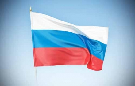Флаг Россия 14х20см оптом, фото 1