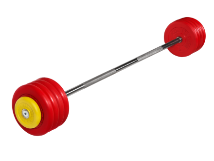 Штанга неразборная &quot;Barbell&quot; с цветными дисками d 25 мм, 47,5 кг оптом, фото 1