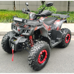 Квадроцикл Motax ATV Grizlik T 200, фото 2