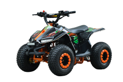 Квадроцикл WELS Tukah 110, фото 1