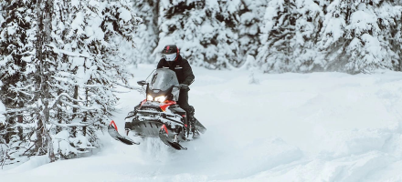 Снегоход BRP Ski-Doo Skandic SWT 900 ACE (2022) оптом, фото 7