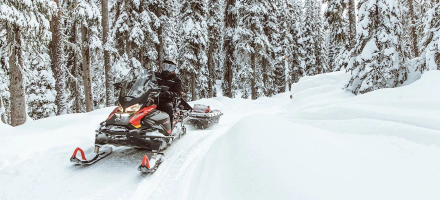 Снегоход BRP Ski-Doo Skandic SWT 900 ACE (2022) оптом, фото 4