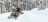 Снегоход BRP Ski-Doo Skandic SWT 900 ACE (2022) оптом