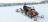 Снегоход BRP Ski-Doo Skandic SWT 900 ACE (2022) оптом